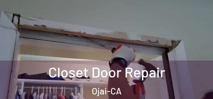  Closet Door Repair Ojai-CA