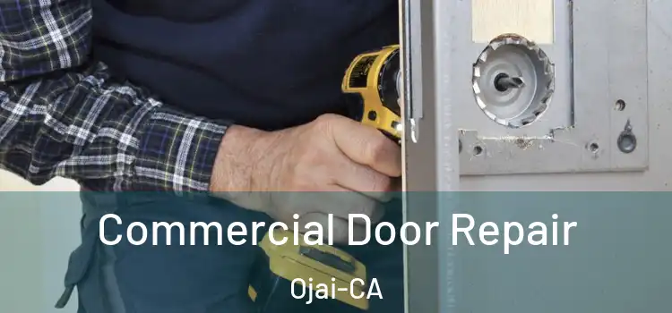  Commercial Door Repair Ojai-CA