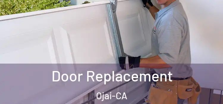  Door Replacement Ojai-CA