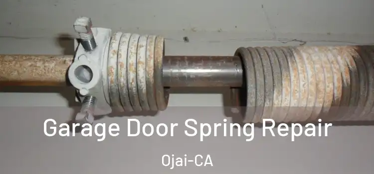  Garage Door Spring Repair Ojai-CA