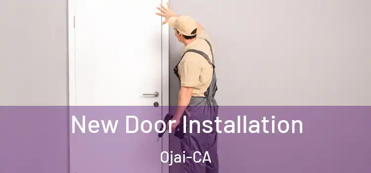  New Door Installation Ojai-CA