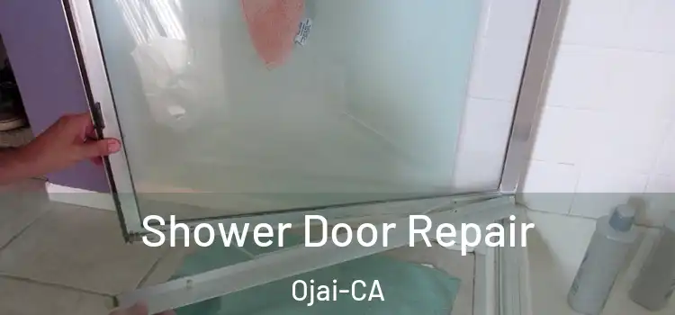  Shower Door Repair Ojai-CA